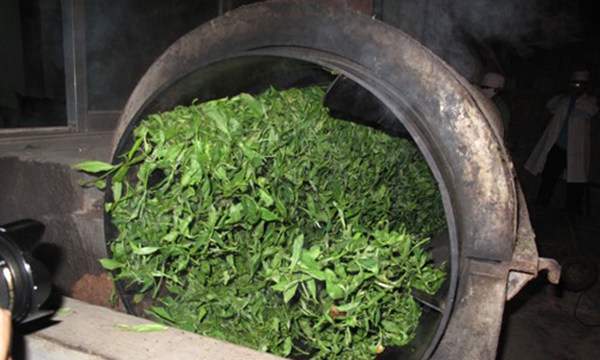 《玉茗茶骨》收官刘昊然李兰迪《海岛舒服日志》杀青丨剧日报